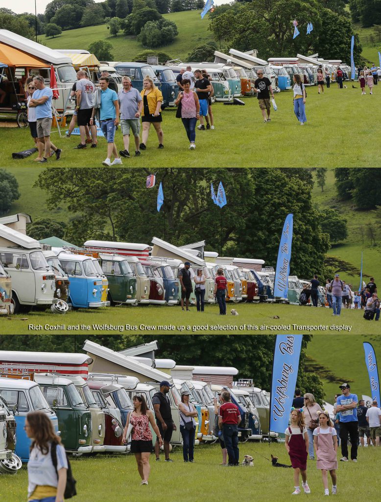 Line of VW Buses at Stonor Park VW Show 2019