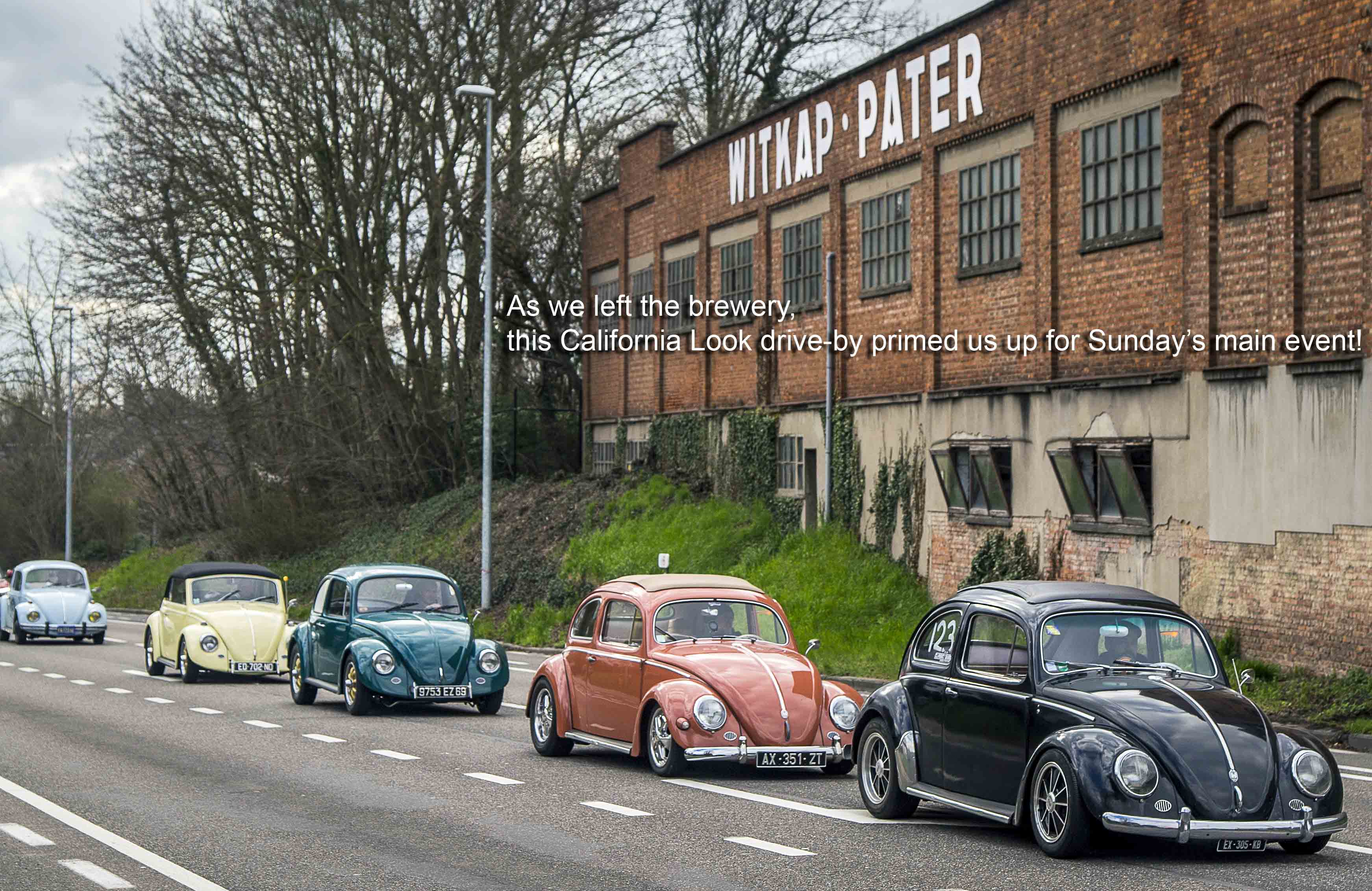 VW Beetles driving from the brewery in Belgium