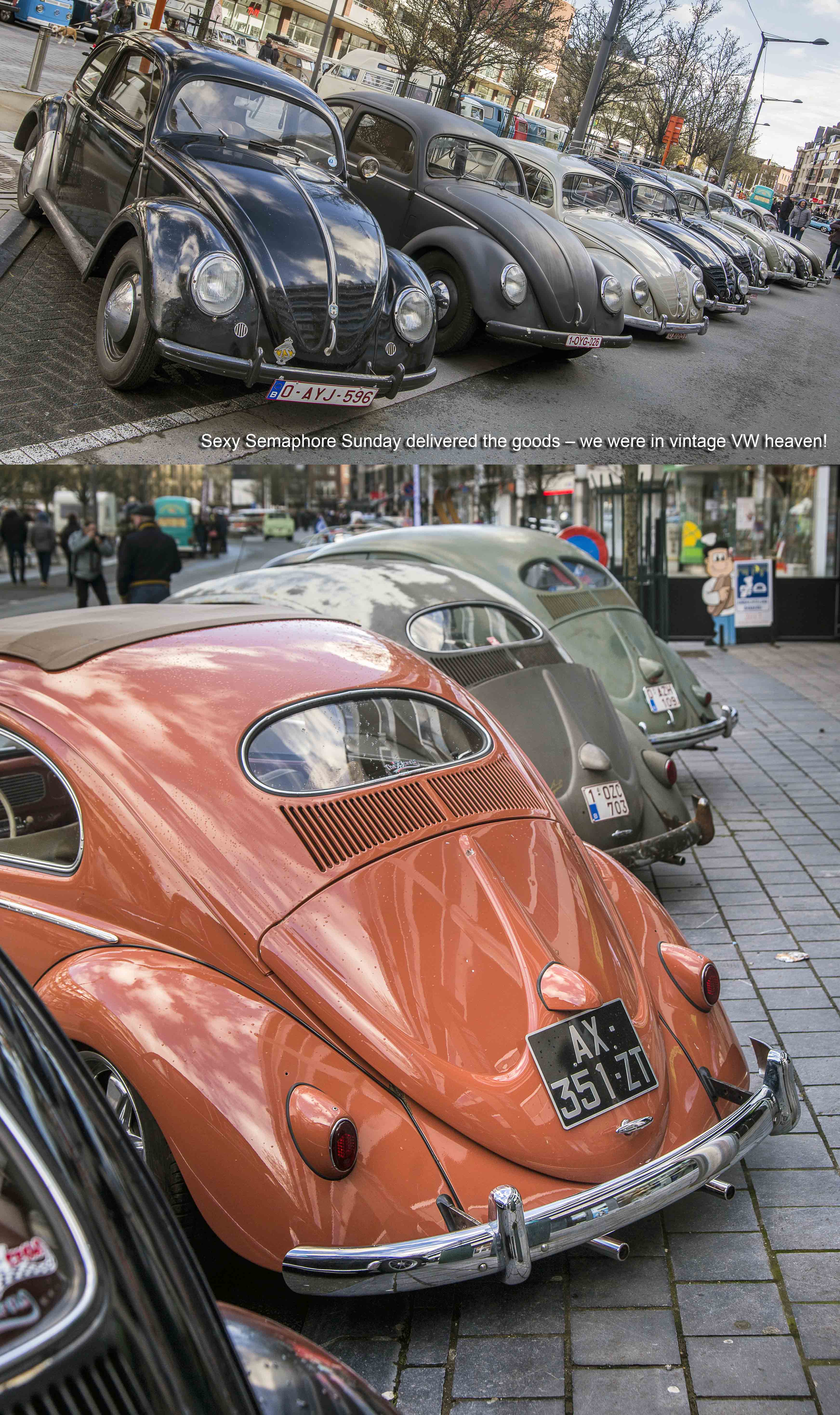 Early Beetle line up at Ninove 2019