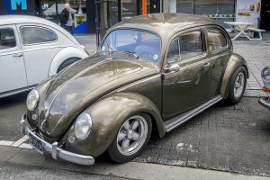 Oval Window beetle at Ninove 2019