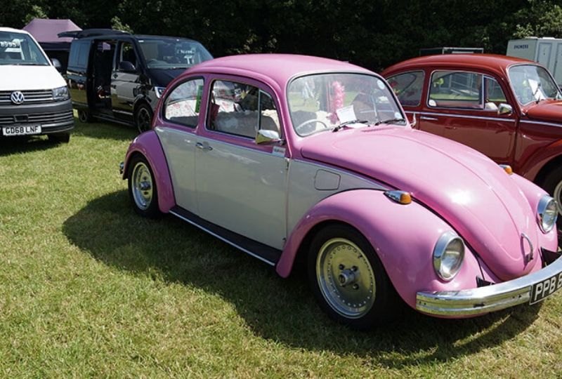 Quex Park 2019 beetle