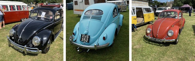 Quex Park 2019 bug