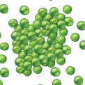 Peas